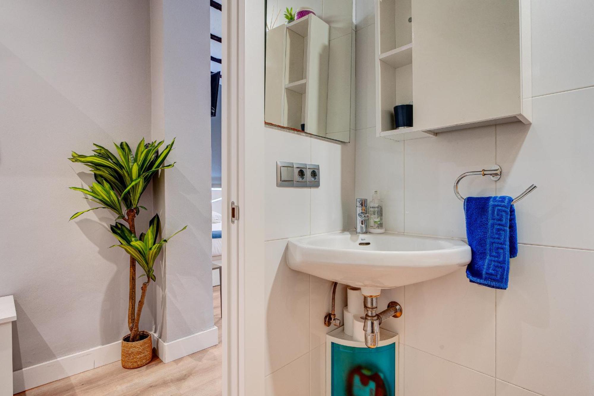 Apartamento San Blas By Sanse Holidays سان سيباستيان المظهر الخارجي الصورة